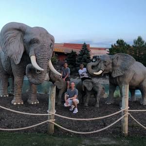 Meet your Posher, Dylan